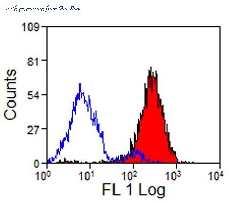 Bio-Rad MCA1218GA image 1