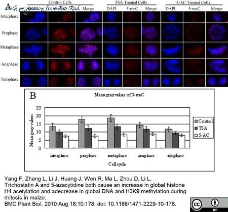Bio-Rad MCA2201 image 1