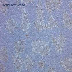 Bio-Rad MCA341GA image 1