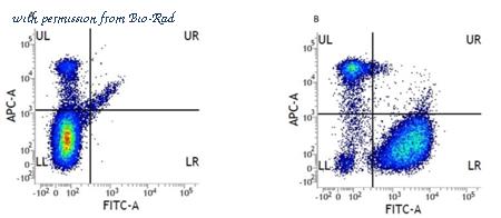 Bio-Rad MCA216T image 1