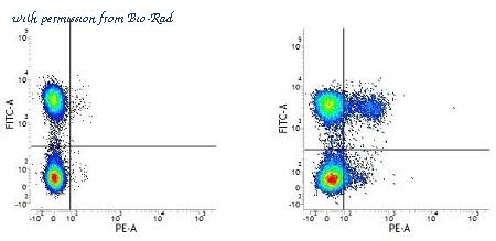 Bio-Rad MCA2175 image 1