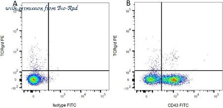 Bio-Rad MCA1146 image 1