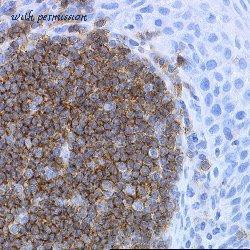Bio-Rad MCA2454T image 1
