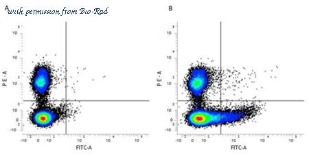 Bio-Rad MCA884 image 1