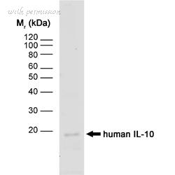 Bio-Rad MCA2250 image 1