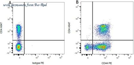Bio-Rad MCA643XZ image 1