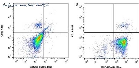 Bio-Rad MCA81EL image 1