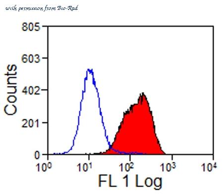 Bio-Rad MCA918GA image 1