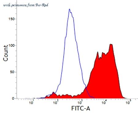 Bio-Rad MCA1973GA image 1