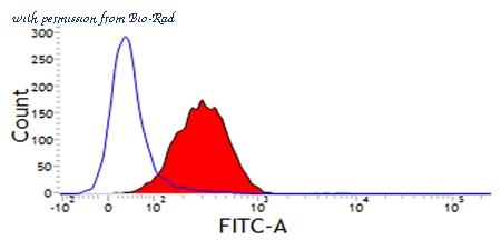 Bio-Rad MCA920GA image 1