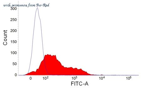 Bio-Rad MCA812PE image 1