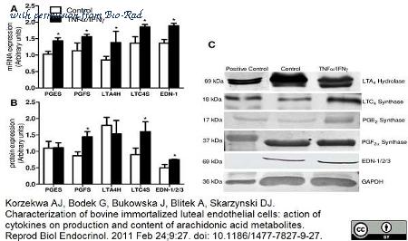 Bio-Rad PBP007A image 1