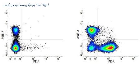 Bio-Rad MCA6004PB image 1