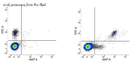 Bio-Rad MCA691PB image 1
