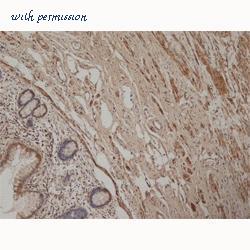 Bio-Rad HCA023 image 1
