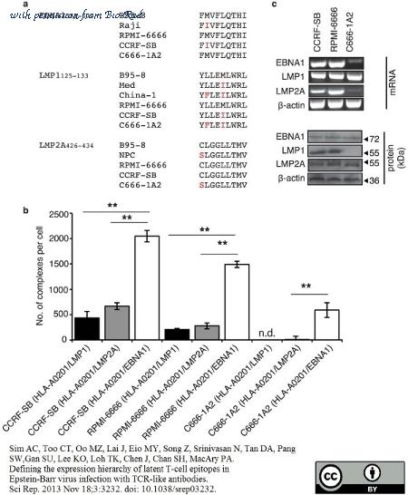 Bio-Rad MCA2707 image 1