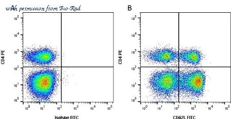 Bio-Rad MCA1649G image 1