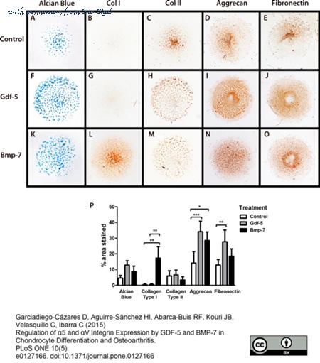 Bio-Rad MCA1451G image 1