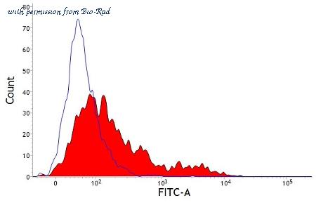 Bio-Rad MCA1655GA image 1