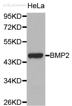 Bio-Rad AHP2442 image 1