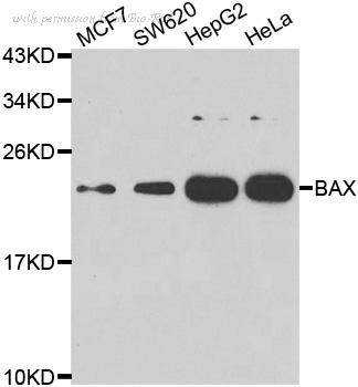 Bio-Rad AHP2716 image 1