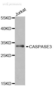 Bio-Rad AHP2717 image 1