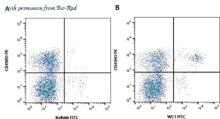 Bio-Rad MCA838GA image 1