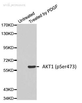 Bio-Rad AHP2544 image 1