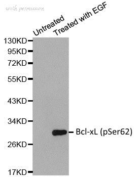 Bio-Rad AHP2558 image 1