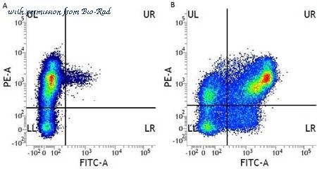 Bio-Rad MCA551PB image 1