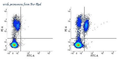 Bio-Rad MCA1118A647 image 1