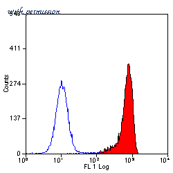 Bio-Rad MCA1283F image 1