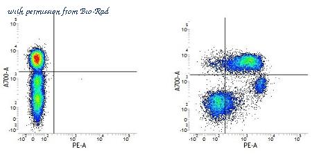 Bio-Rad MCA1614A700 image 1