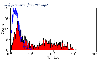 Bio-Rad MCA811GA image 1