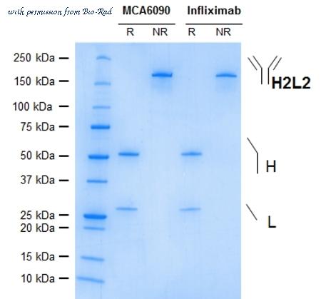 Bio-Rad MCA6090 image 1