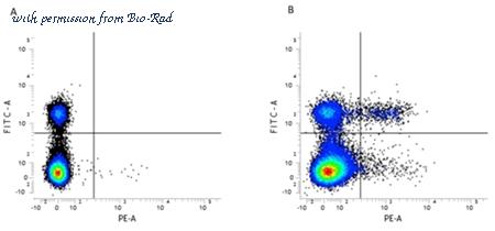 Bio-Rad MCA1260SBV515 image 1