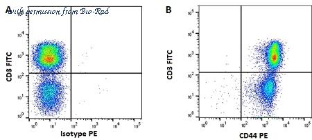 Bio-Rad MCA1449GA image 1