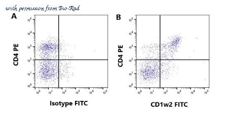 Bio-Rad MCA1646GA image 1