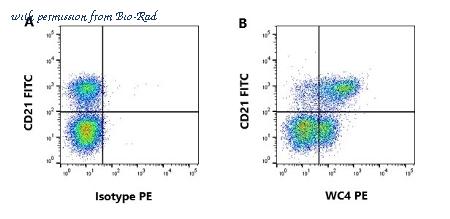 Bio-Rad MCA1648GA image 1