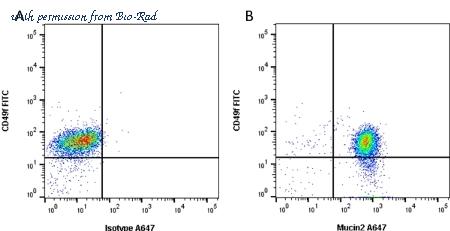 Bio-Rad MCA1743A647 image 1