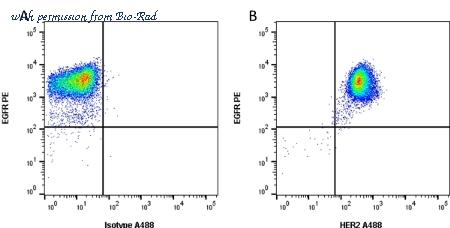 Bio-Rad MCA1788A488 image 1