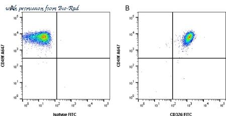 Bio-Rad MCA1870PE image 1
