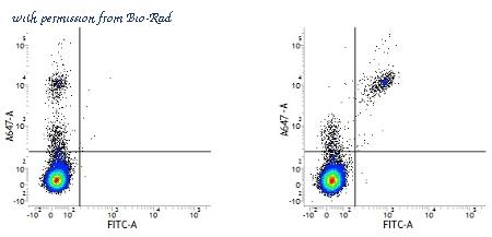 Bio-Rad MCA2495AMO image 1