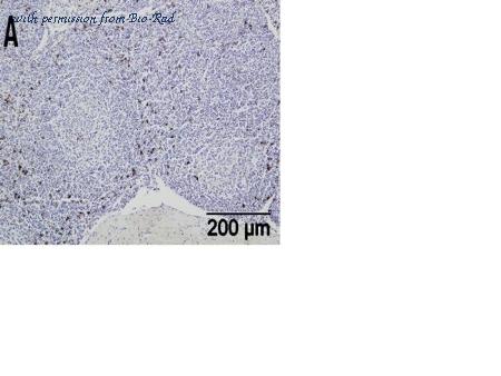 Bio-Rad MCA5933GA image 1