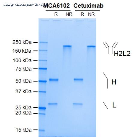 Bio-Rad MCA6102 image 1