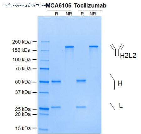 Bio-Rad MCA6106 image 1