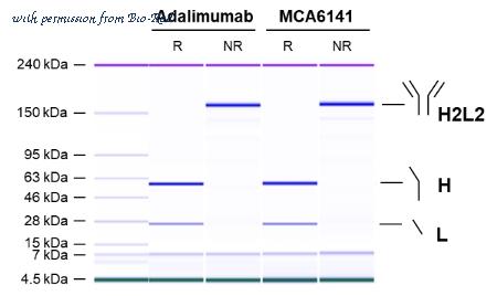 Bio-Rad MCA6141 image 1