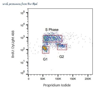 Bio-Rad MCA6143 image 1