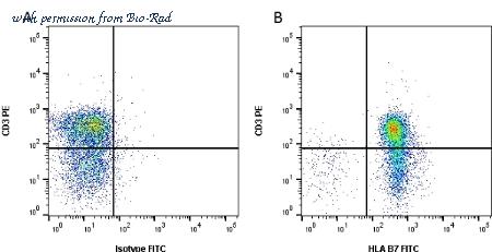 Bio-Rad MCA986A647 image 1