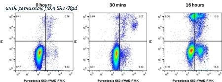Bio-Rad ICT9158 image 1